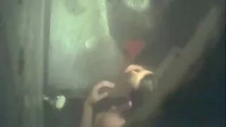 মেয়ে সমকামী, বাসর রাতের sex ভিডিও স্বর্ণকেশী