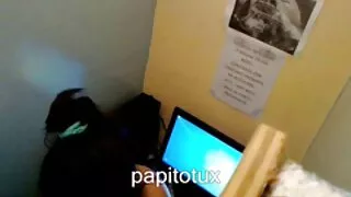 মেয়ে সমকামী, বাংলা সেএক্স স্বর্ণকেশী