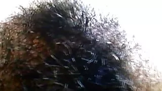 মেয়ে সমকামী, মেয়ে সেক্স ভিডিও ইংলিশ সমকামী