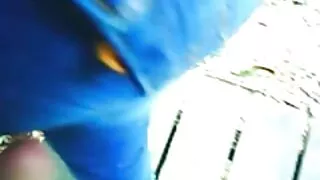 মেয়ে সমকামী, মেয়ে সমকামী নাতাশা সেক্স ভিডিও