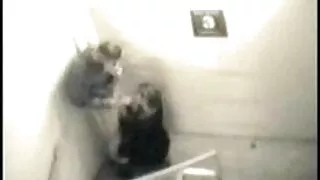 স্বর্ণকেশী, সুন্দরী বালিকা সেক্স ভিডিও লাইভ